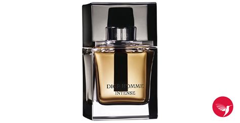 dior homme intense david jones|dior intense cologne 2007.